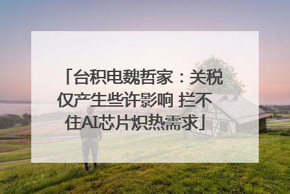 台积电魏哲家：关税仅产生些许影响 拦不住AI芯片炽热需求