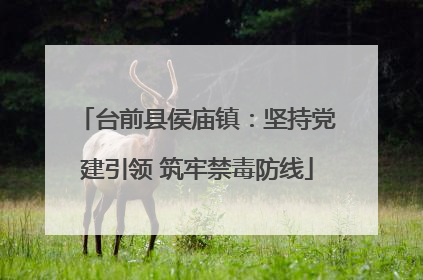 台前县侯庙镇：坚持党建引领 筑牢禁毒防线
