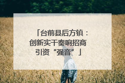 台前县后方镇：创新实干奏响招商引资“强音”