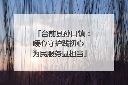 台前县孙口镇：暖心守护践初心 为民服务显担当