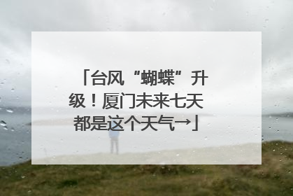 台风“蝴蝶”升级！厦门未来七天都是这个天气→