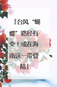 台风“蝴蝶”路径有变！或在海南这一带登陆