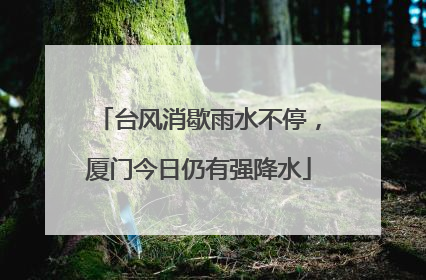 台风消歇雨水不停，厦门今日仍有强降水