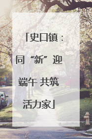 史口镇：同“新”迎端午 共筑活力家