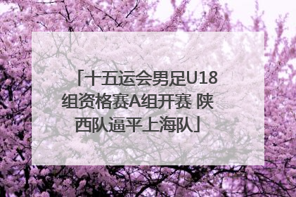十五运会男足U18组资格赛A组开赛 陕西队逼平上海队