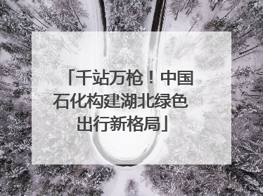 千站万枪！中国石化构建湖北绿色出行新格局