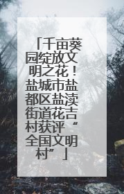 千亩葵园绽放文明之花！盐城市盐都区盐渎街道花吉村获评“全国文明村”