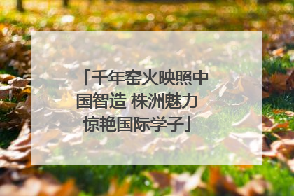 千年窑火映照中国智造 株洲魅力惊艳国际学子