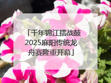 千年锦江擂战鼓 2025麻阳传统龙舟赛隆重开幕