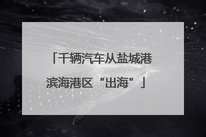 千辆汽车从盐城港滨海港区“出海”