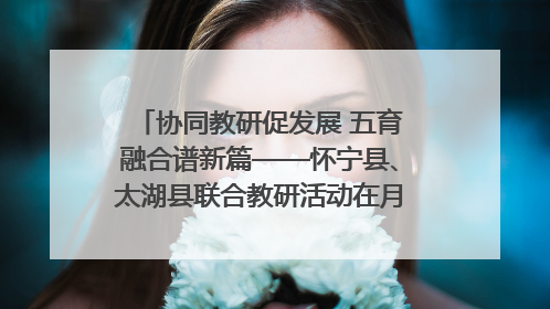 协同教研促发展 五育融合谱新篇——怀宁县、太湖县联合教研活动在月山镇中心学校成功举办