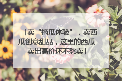 卖“摘瓜体验”，卖西瓜创意甜品，这里的西瓜卖出高价还不愁卖