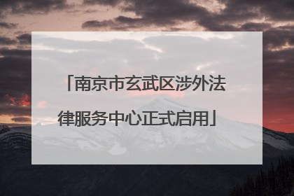 南京市玄武区涉外法律服务中心正式启用