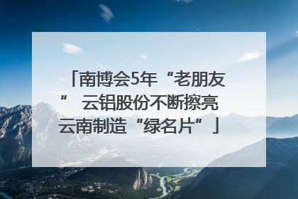 南博会5年“老朋友” 云铝股份不断擦亮云南制造“绿名片”
