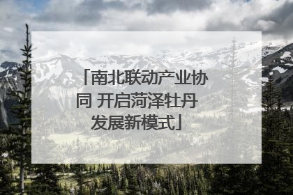 南北联动产业协同 开启菏泽牡丹发展新模式