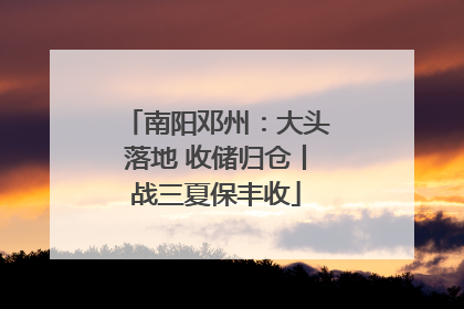 南阳邓州：大头落地 收储归仓丨战三夏保丰收