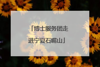 博士服务团走进宁夏石嘴山
