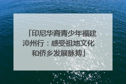 印尼华裔青少年福建漳州行：感受祖地文化和侨乡发展脉搏