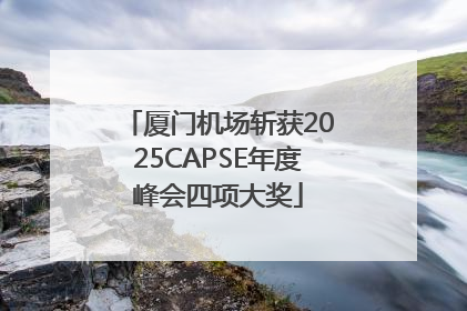 厦门机场斩获2025CAPSE年度峰会四项大奖
