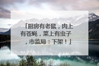 厨房有老鼠，肉上有苍蝇，菜上有虫子，市监局：下架！