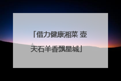 借力健康湘菜 壶天石羊香飘星城