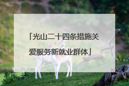 光山二十四条措施关爱服务新就业群体