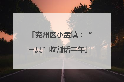 兖州区小孟镇：“三夏”收割话丰年