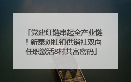 党建红链串起全产业链！新泰刘杜镇供销社双向任职激活8村共富密码