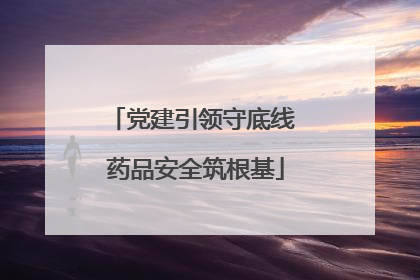 党建引领守底线 药品安全筑根基