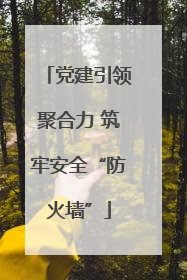 党建引领聚合力 筑牢安全“防火墙”