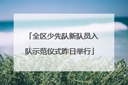 全区少先队新队员入队示范仪式昨日举行