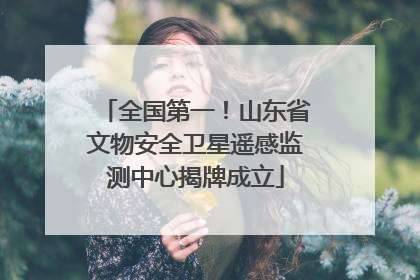 全国第一！山东省文物安全卫星遥感监测中心揭牌成立