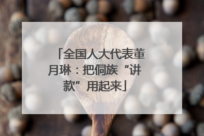 全国人大代表董月琳：把侗族“讲款”用起来