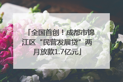 全国首创！成都市锦江区“民营发展贷”两月放款1.7亿元