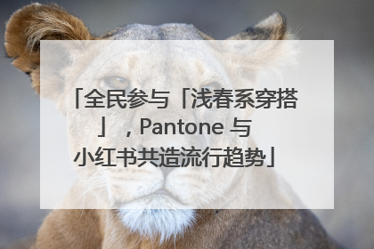 全民参与「浅春系穿搭」，Pantone 与小红书共造流行趋势