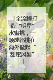 全流程打造“明星”水蜜桃，一颗成都桃在海外掀起“甜蜜风暴”