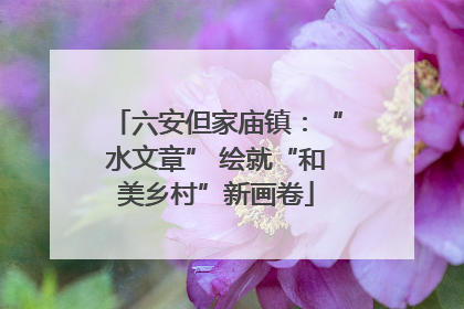 六安但家庙镇：“水文章” 绘就“和美乡村”新画卷