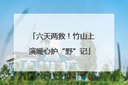 六天两救！竹山上演暖心护“野”记