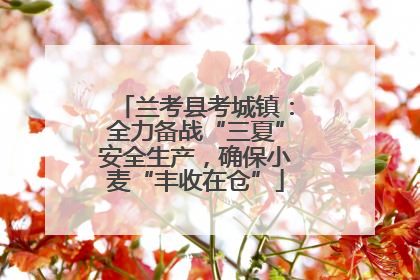 兰考县考城镇：全力备战“三夏”安全生产，确保小麦“丰收在仓”