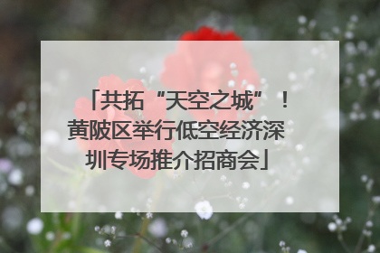 共拓“天空之城”！黄陂区举行低空经济深圳专场推介招商会