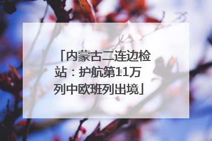 内蒙古二连边检站：护航第11万列中欧班列出境