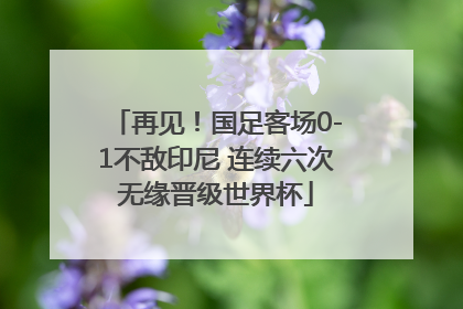 再见！国足客场0-1不敌印尼 连续六次无缘晋级世界杯