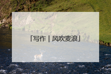 写作｜风吹麦浪