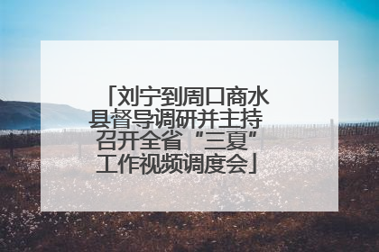 刘宁到周口商水县督导调研并主持召开全省“三夏”工作视频调度会