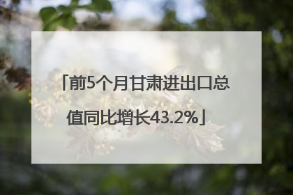 前5个月甘肃进出口总值同比增长43.2%