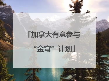 加拿大有意参与“金穹”计划