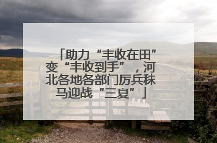 助力“丰收在田”变“丰收到手”，河北各地各部门厉兵秣马迎战“三夏”