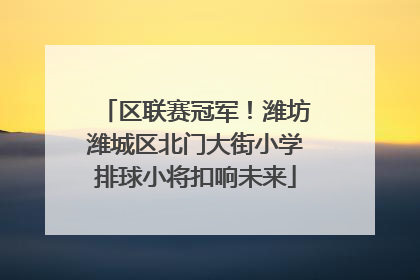 区联赛冠军！潍坊潍城区北门大街小学排球小将扣响未来