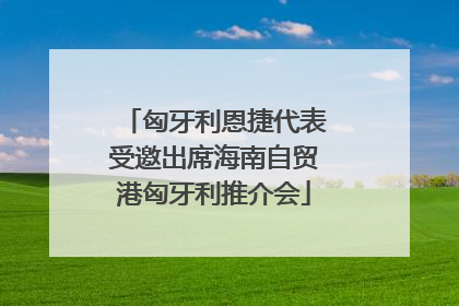 匈牙利恩捷代表受邀出席海南自贸港匈牙利推介会
