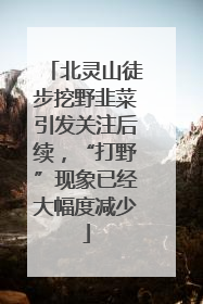 北灵山徒步挖野韭菜引发关注后续，“打野”现象已经大幅度减少